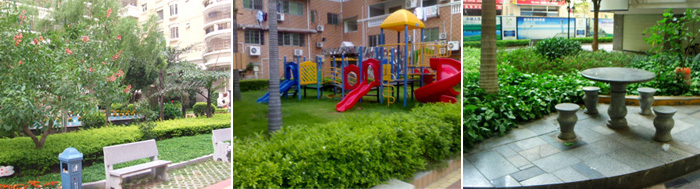 111.jpg