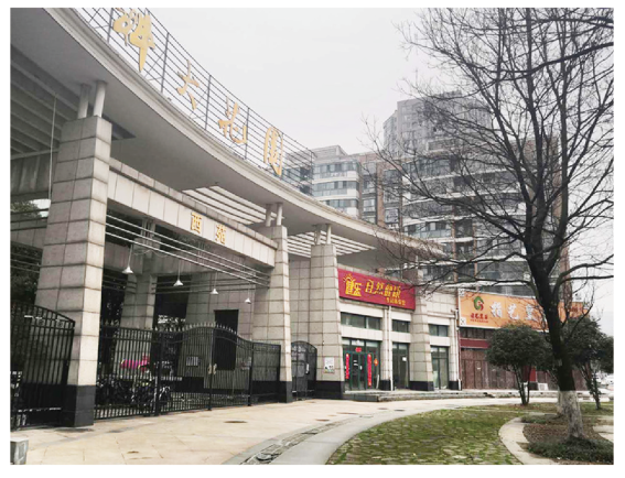 科大花园.png